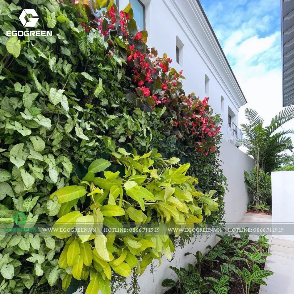 Vườn đứng là lựa chọn tối ưu cho không gian sân vườn nhỏ hẹp